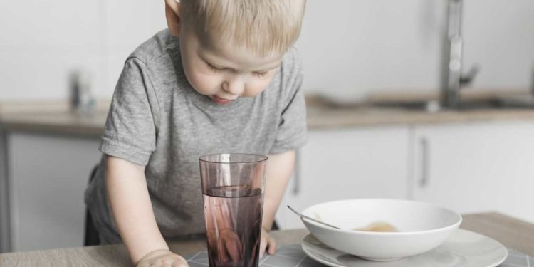 Quand donner de l'eau aux chiots ?
