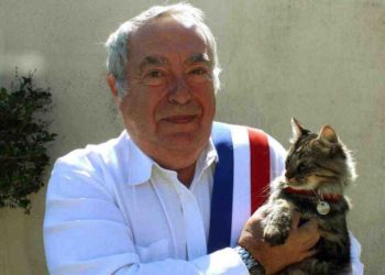 Qui est responsable des chats errants ?