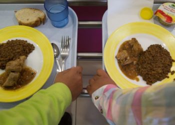 Pourquoi ne mange T-ON pas du cygne ?