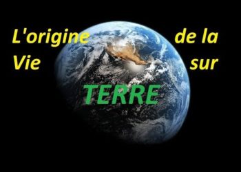 Comment la poule est apparu sur Terre ?