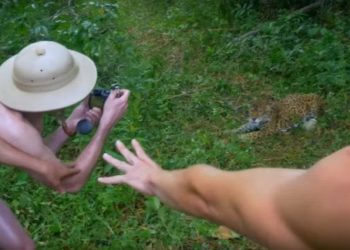 Comment s'appelle le plus petit serpent au monde ?