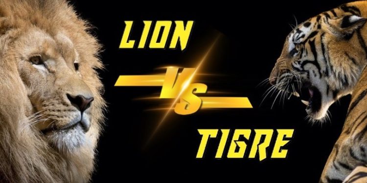 Qui gagne entre un lion et un tigre ?