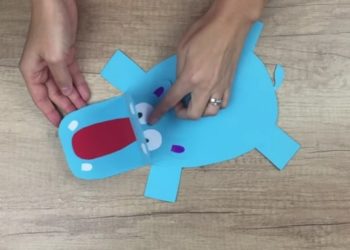 Comment voit un hippopotame ?