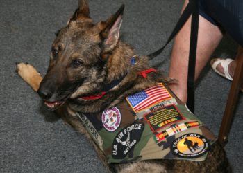 What is USA National dog?