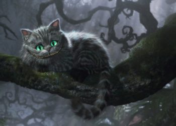 Why is the Cheshire Cat important?