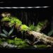 Can I use an aquarium as a reptile tank?