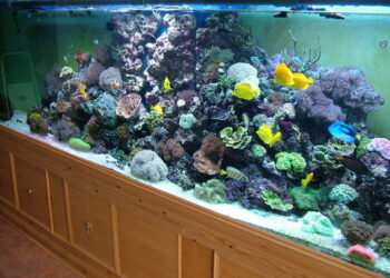 C'est quoi le PPM de l'eau ?