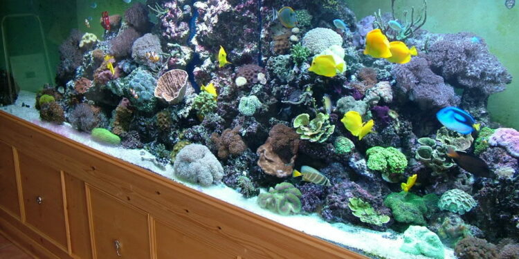 C'est quoi le PPM de l'eau ?