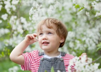 C'est quoi le deuxième âge ?