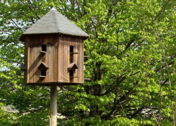 C'est quoi le pigeonnier ?