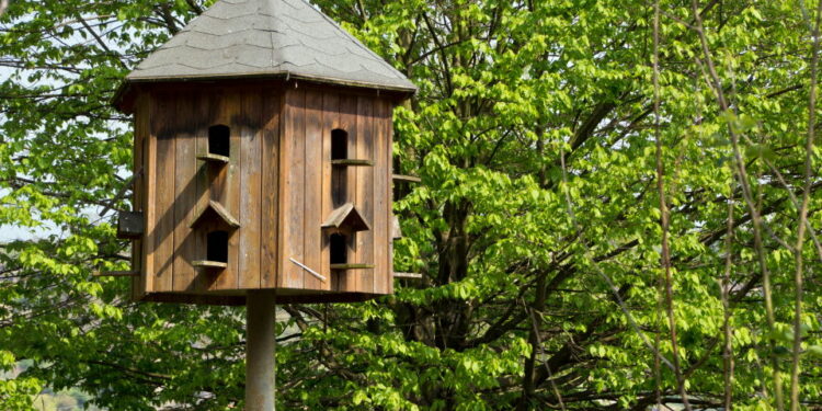 C'est quoi le pigeonnier ?