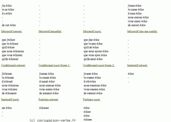 C'est quoi l'éclosion ?