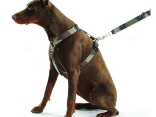 C'est quoi un harnais anti traction ?