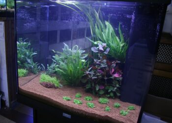 C'est quoi un sol technique en aquarium ?