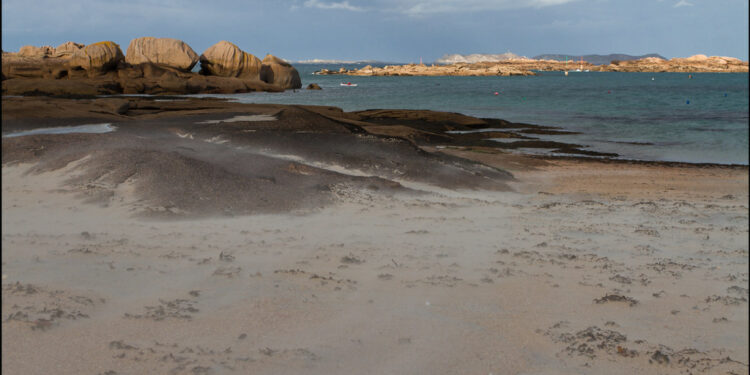 Comment Appelle-t-on le vent du désert ?