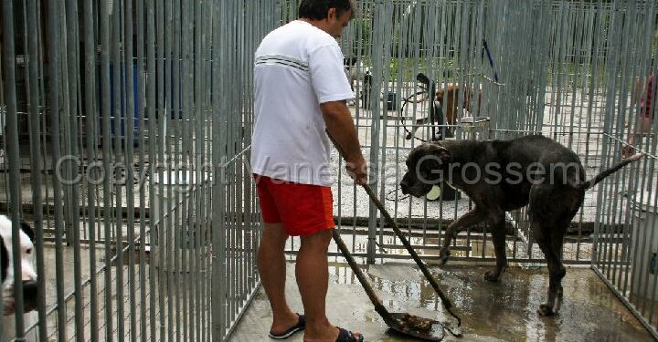 Comment Desodoriser un chenil ?