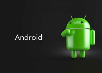 Comment Elever des ANDROLIS ?