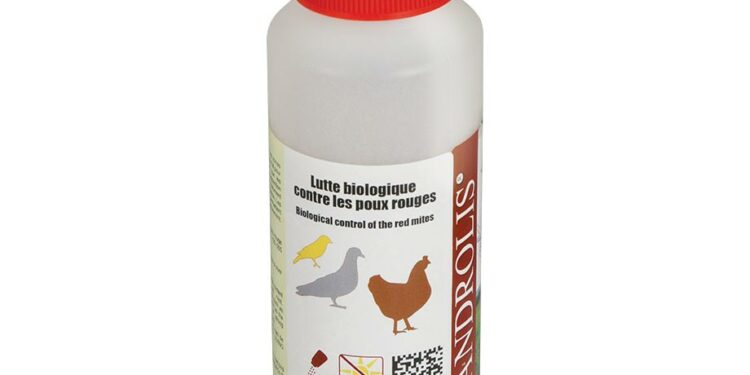 Comment Elever des ANDROLIS ?