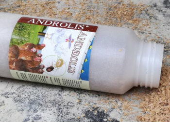 Comment Elever des ANDROLIS ?