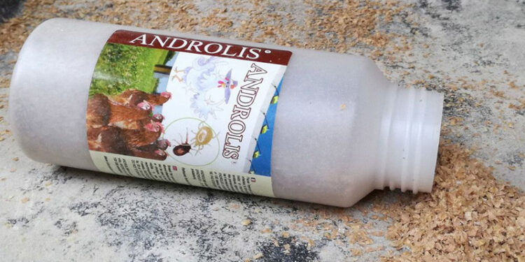 Comment Elever des ANDROLIS ?