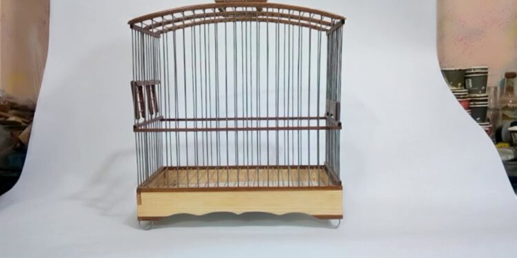 Comment Elever un chardonneret en cage ?