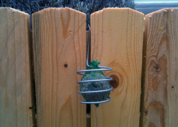 Comment accrocher des boules de graisse pour oiseaux sans filet ?