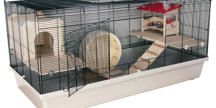 Comment adopter une souris ?