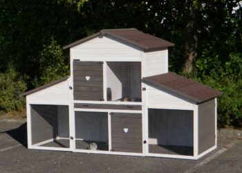 Comment agencer la cage à lapin ?