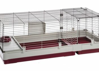 Comment agencer la cage à lapin ?