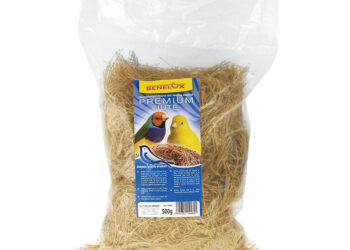 Comment aider un canari à faire son nid ?