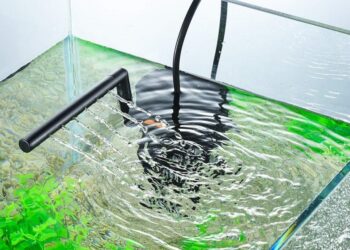 Comment aider un poisson à respirer ?