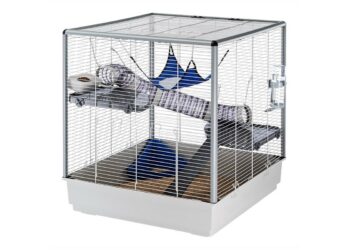 Comment aménager la cage d'un furet ?
