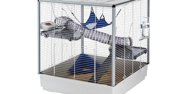 Comment aménager la cage d'un furet ?