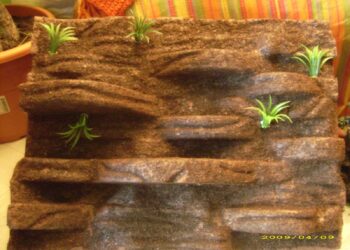 Comment aménager son terrarium ?