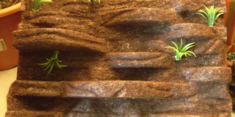 Comment aménager son terrarium ?