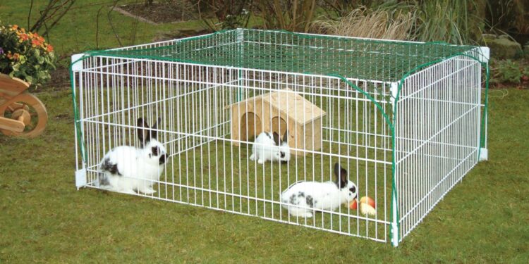 Comment amenager un enclos extérieur pour lapin ?