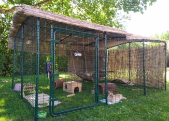 Comment amenager un enclos extérieur pour lapin ?