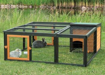 Comment amenager un enclos extérieur pour lapin ?