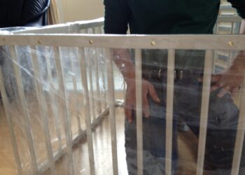 Comment aménager un enclos pour chien ?