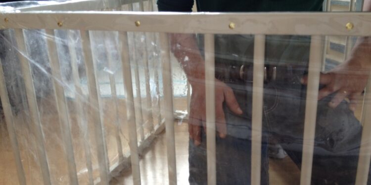 Comment aménager un enclos pour chien ?