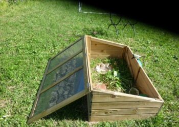 Comment amenager un espace pour tortue de terre ?