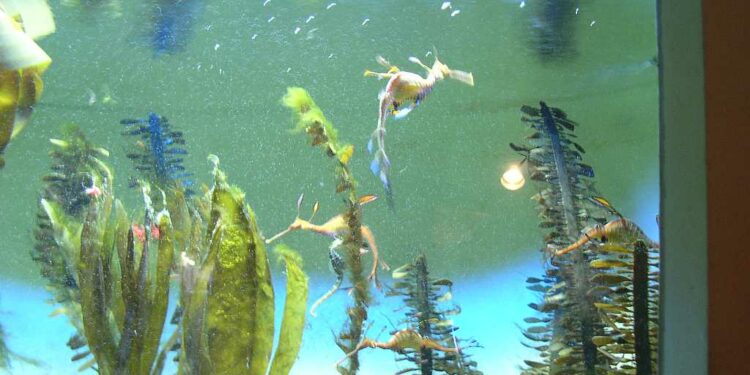 Comment appeler son amoureux en allemand ?