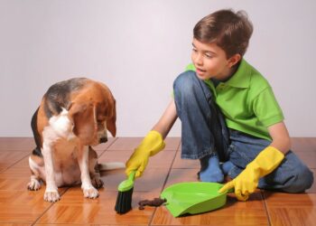 Comment apprendre à un chiot à être propre en 7 jours ?