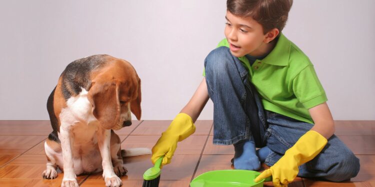 Comment apprendre à un chiot à être propre en 7 jours ?