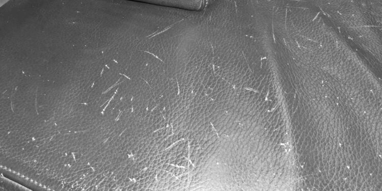 Comment atténuer les griffures de chat ?