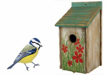 Comment attirer l'attention d'un oiseau ?