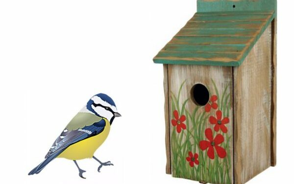 Comment attirer l'attention d'un oiseau ?