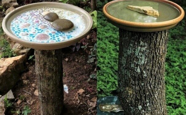 Comment attirer les oiseaux pour boire ?