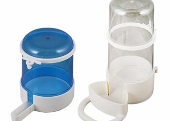 Comment attirer oiseau abreuvoir ?