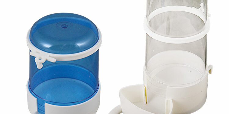 Comment attirer oiseau abreuvoir ?